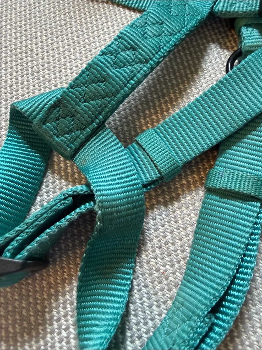 Hamilton Teal Nylon Dog Harness with Plastic Buckle